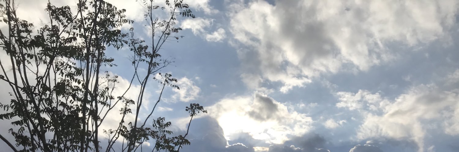 izquinon's profile banner image