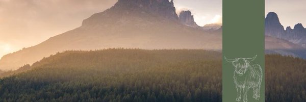 MSWoodturning Profile Banner