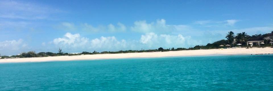 sdoherty324's profile banner image