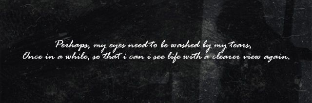 aster_myth's profile banner image