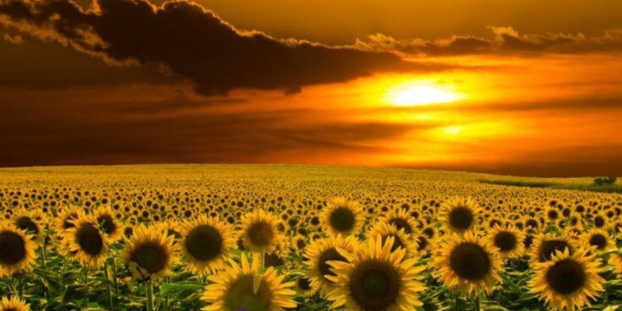 KristinaLechner's profile banner image