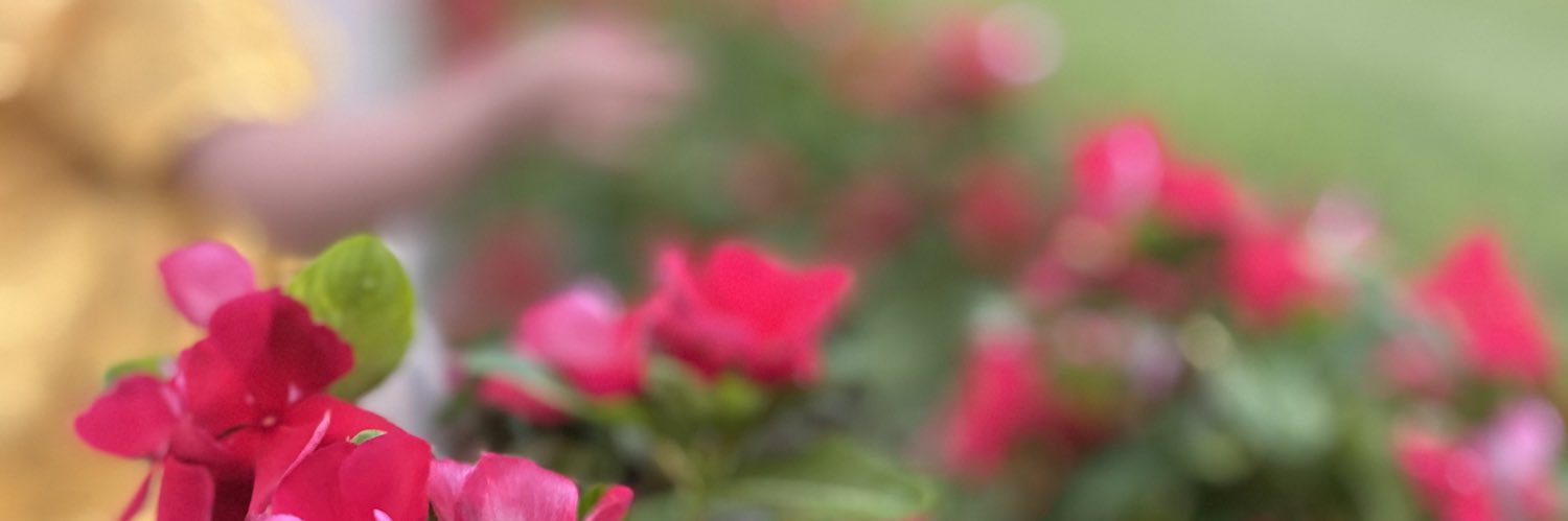 Aliaa579's profile banner image