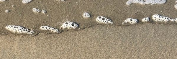 Parabolactic Hyperbole banner