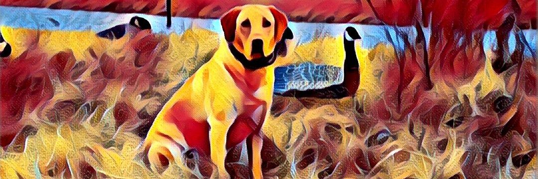 PattyMo21's profile banner image