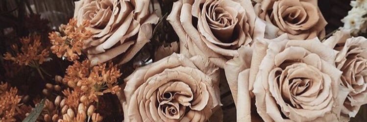 ellatweetedthis's profile banner image