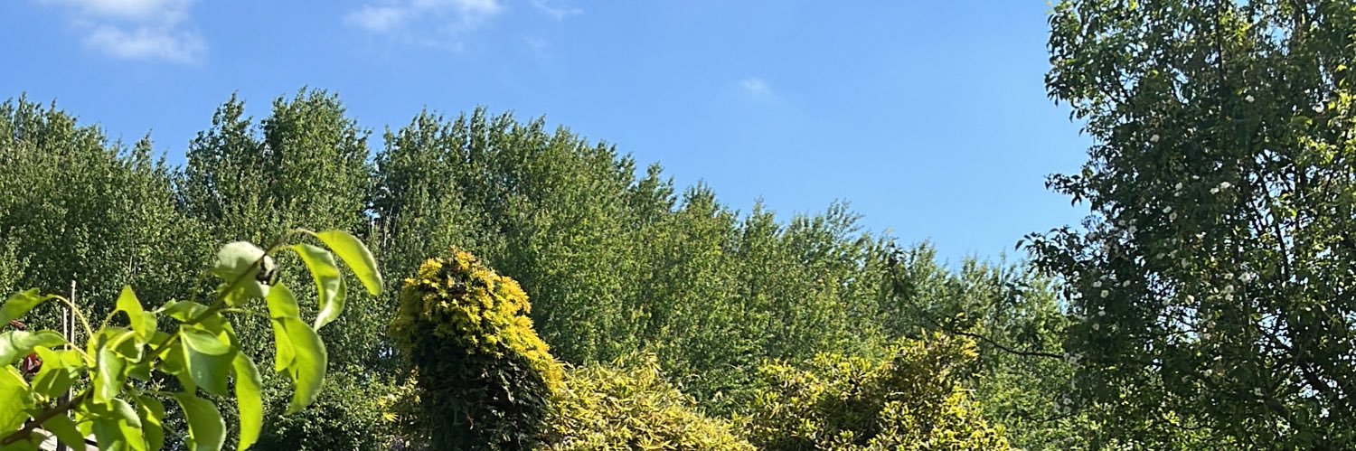 Caro_vs_Cancer banner