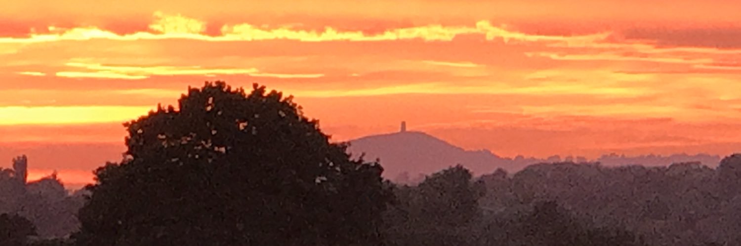 Amanda Vardon-Cardy banner