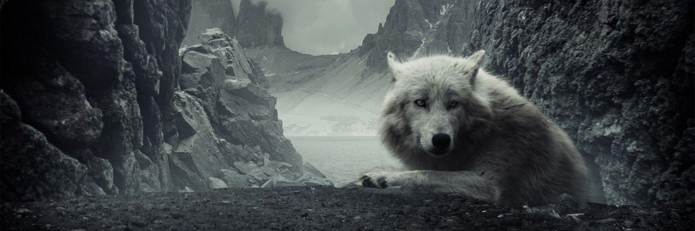 Андрей Кулемкин banner