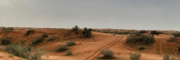 m2221907's profile banner image