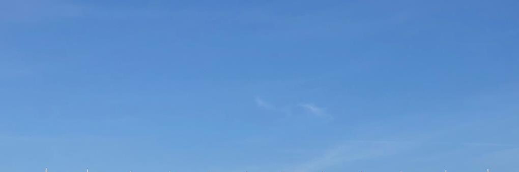 Dr Selina Tour banner