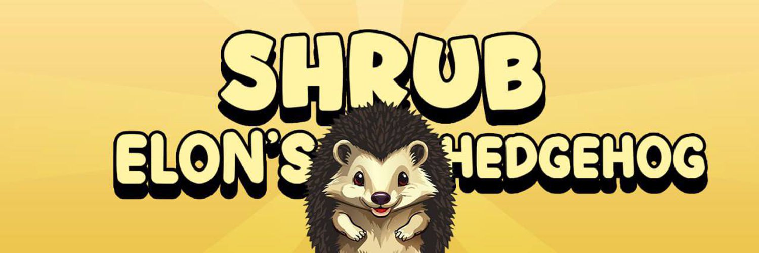 ShrubHedgeshog's profile banner image