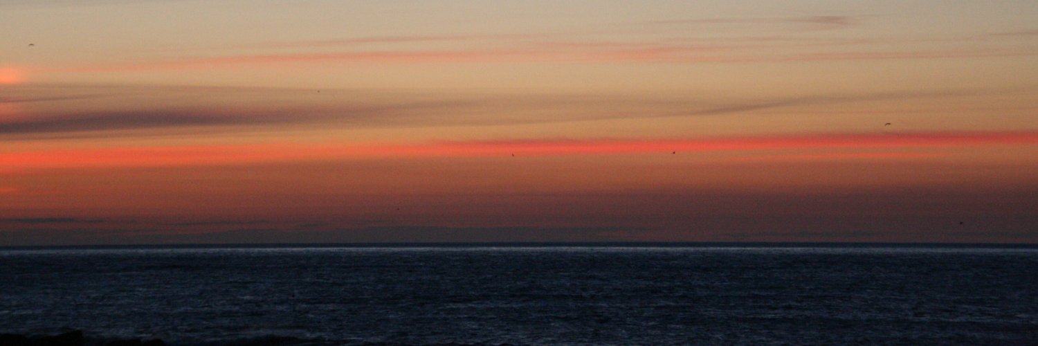 down_sort's profile banner image