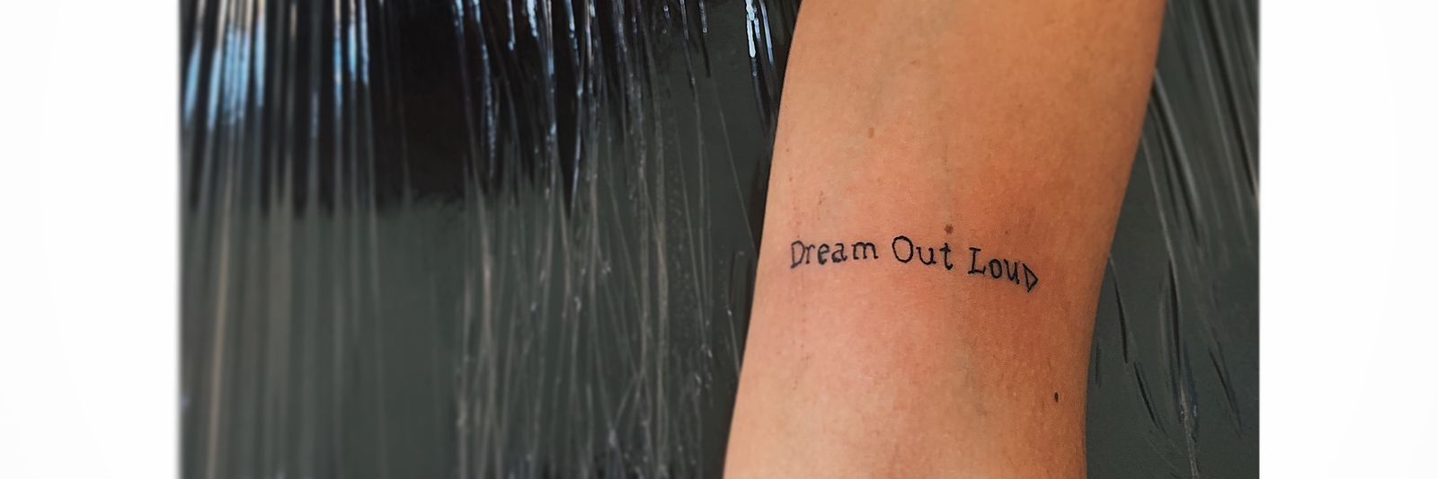 Pinscher da Loud banner