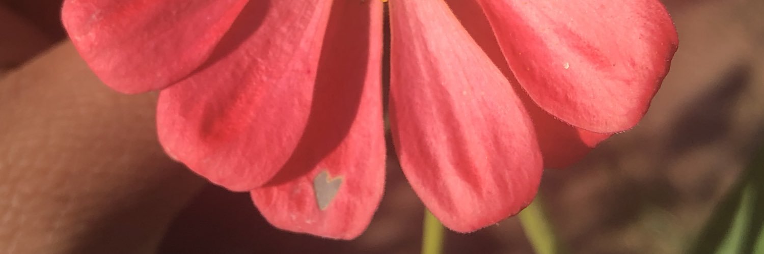 EricaCarrisalez's profile banner image