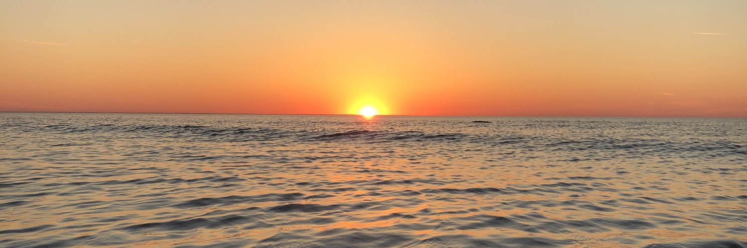 Scott Collins banner