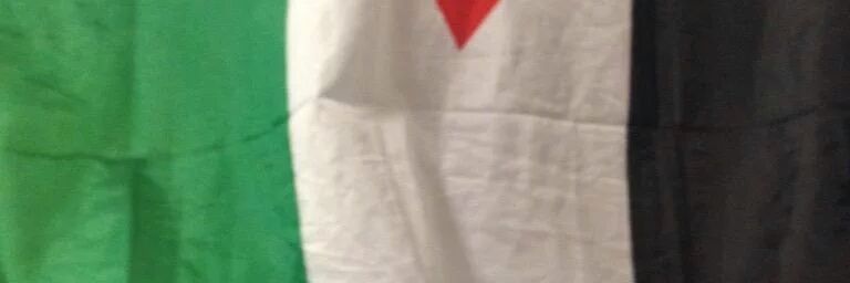 FatPalestinian's profile banner image