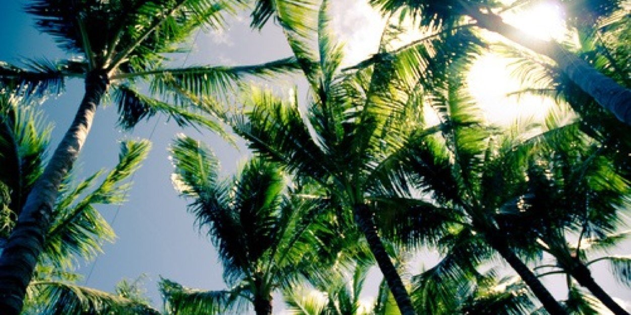 RoeliHalkes's profile banner image