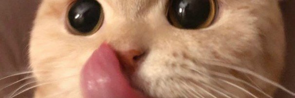 jetsakee's profile banner image