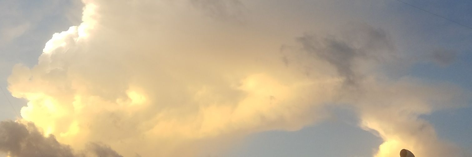 aliannyabreu's profile banner image
