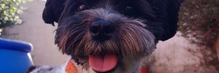 Becker_Sol's profile banner image