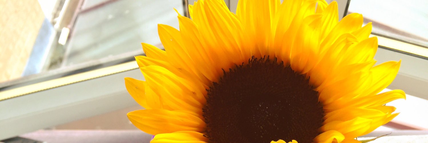 HelenaFewkes's profile banner image