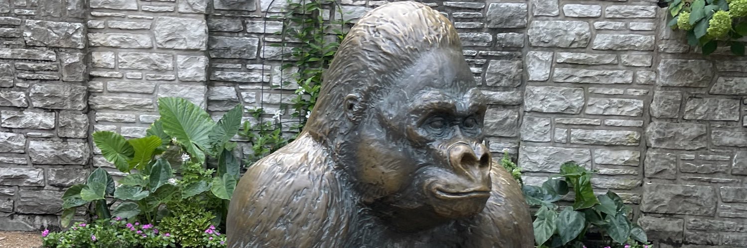 amariyoung78's profile banner image