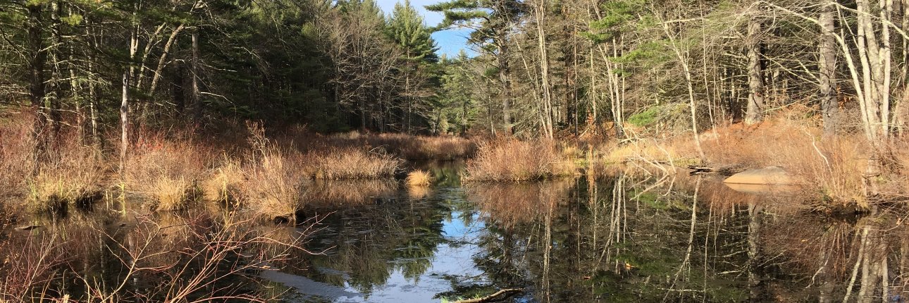 Lamprey River banner