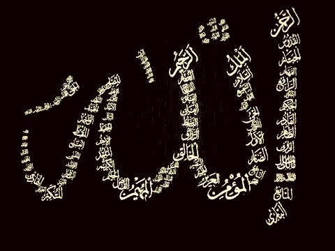 49_h's profile banner image