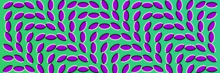 Daniel Bayless banner