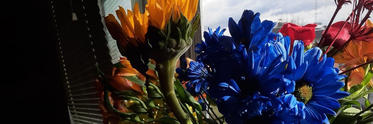 BarrowFatou's profile banner image