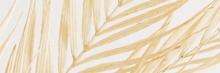 halleee_'s profile banner image