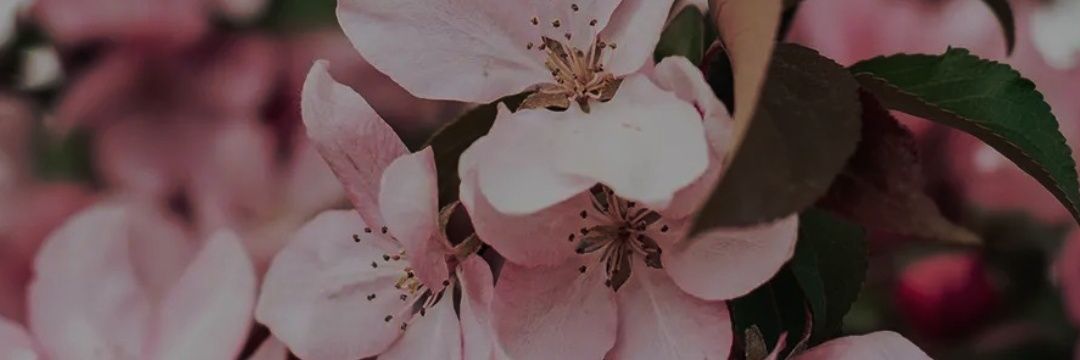 kahmor_'s profile banner image