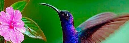 TERAPEARTE1's profile banner image