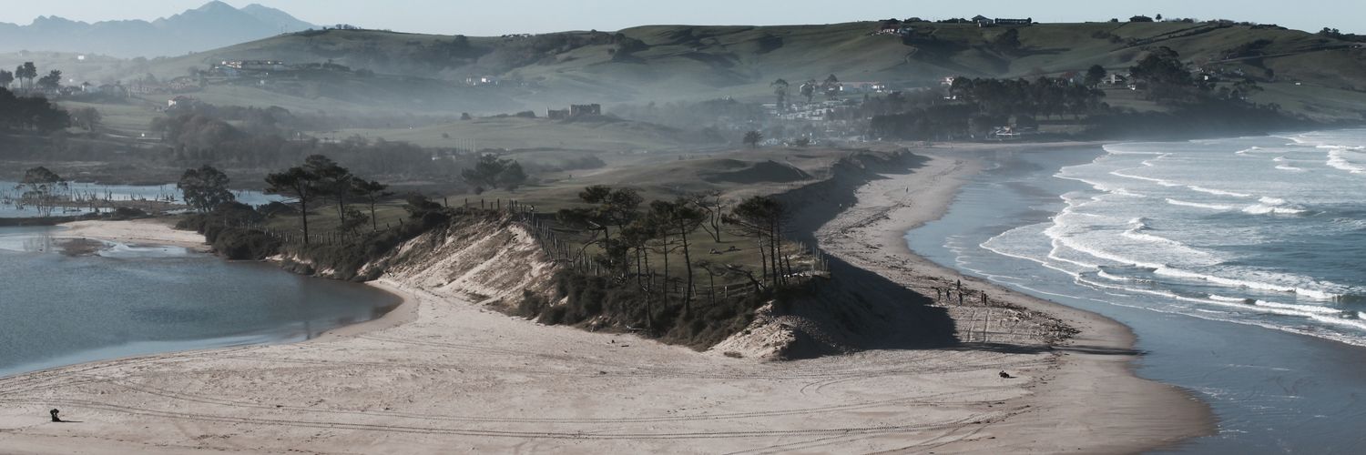 teresitaCOLSA's profile banner image