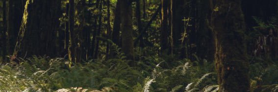 Ikillyou_today banner