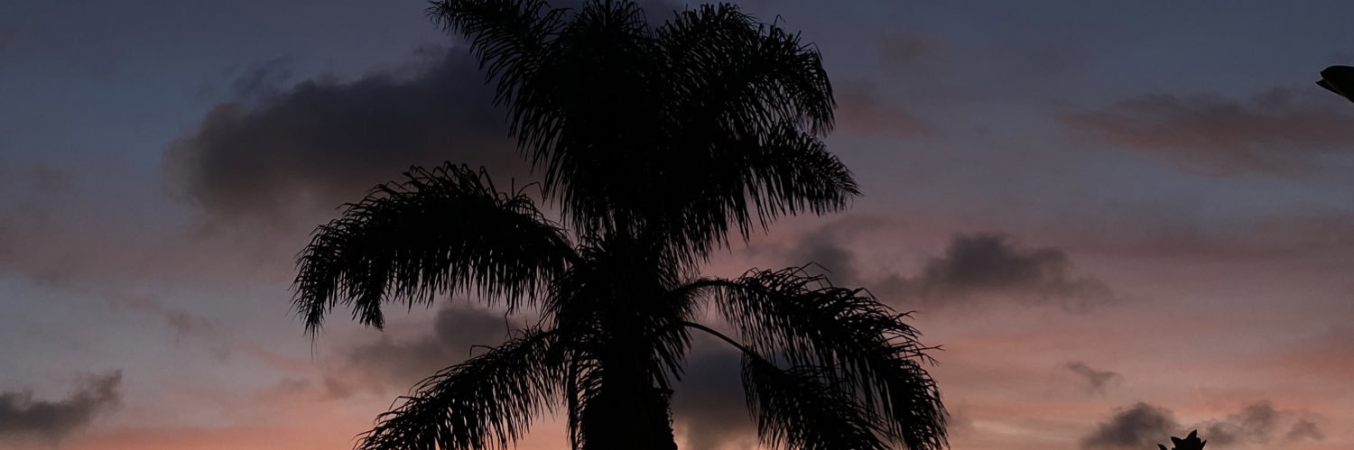 a6els's profile banner image