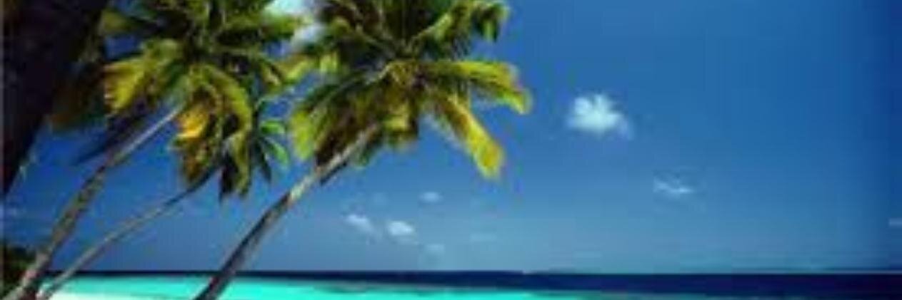 auva24's profile banner image