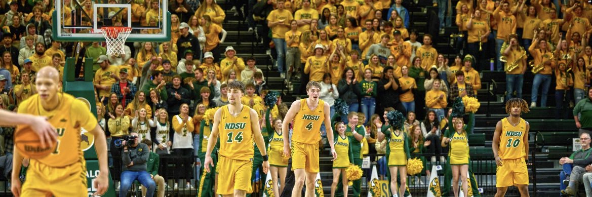 Boden Skunberg banner