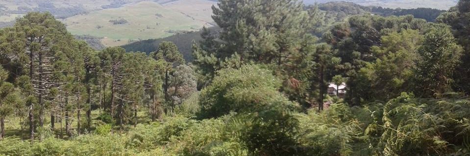 Ras_Felipe13's profile banner image