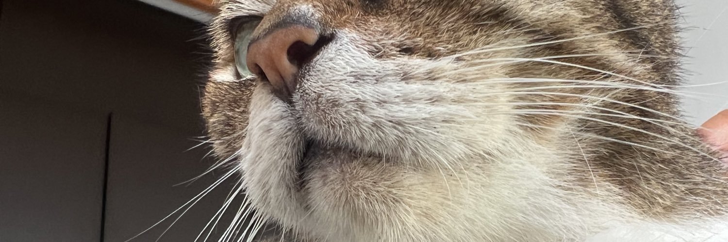andrecaicedog's profile banner image