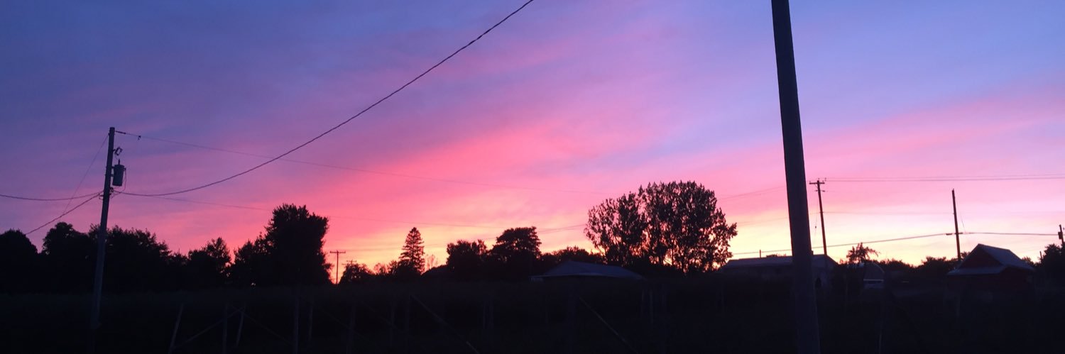 ShannonDevine banner