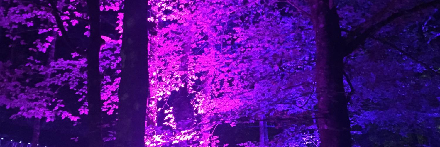 Ceilz's profile banner image
