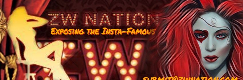 QoTarts's profile banner image