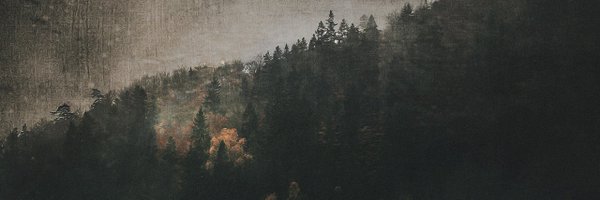 kunte_ctf Profile Banner