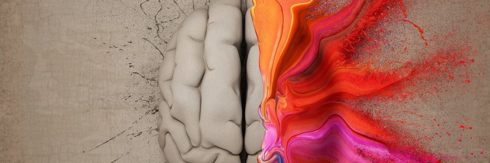 msctefoundation's profile banner image