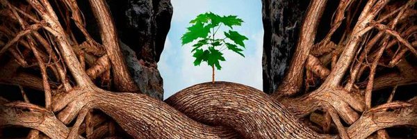 jopiga Profile Banner