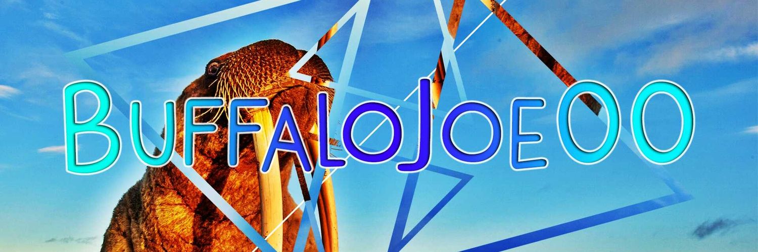 buffalojoe00's profile banner image