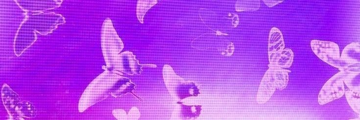 JohnsonsBella's profile banner image
