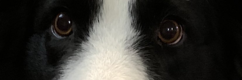 Meys19's profile banner image
