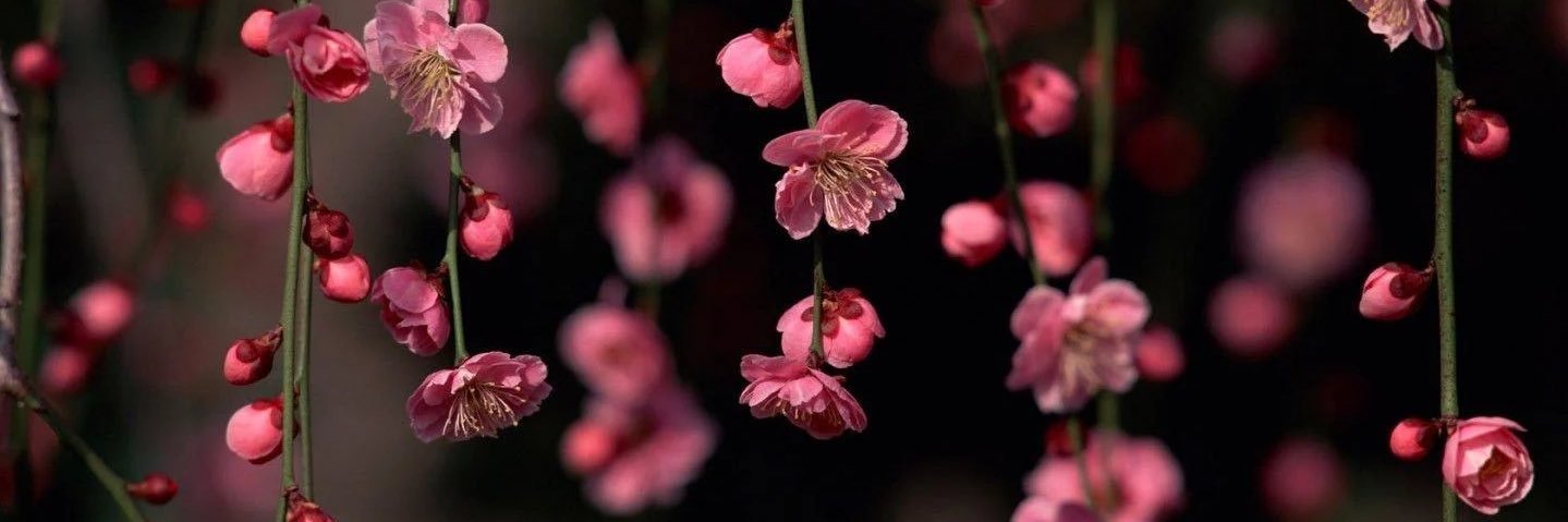 TAYLOR_meUP's profile banner image